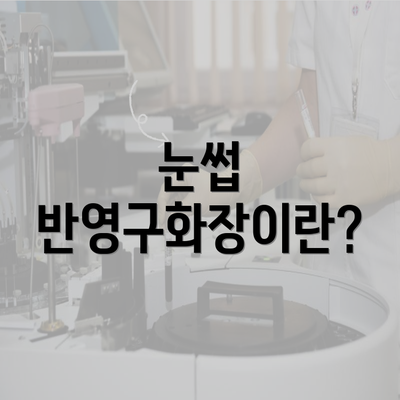 눈썹 반영구화장이란?