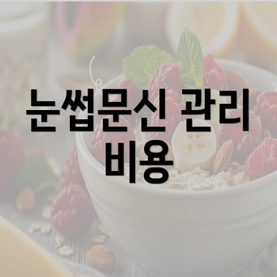 눈썹문신 관리 비용