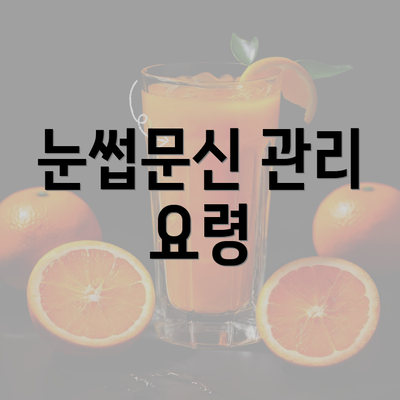 눈썹문신 관리 요령