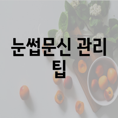 눈썹문신 관리 팁