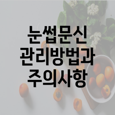 눈썹문신 관리방법과 주의사항