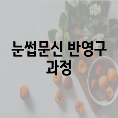 눈썹문신 반영구 과정