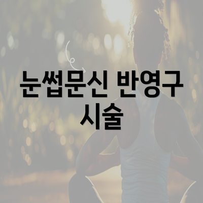 눈썹문신 반영구 시술