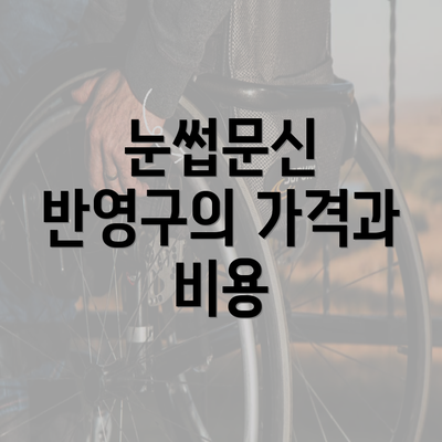 눈썹문신 반영구의 가격과 비용