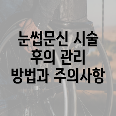 눈썹문신 시술 후의 관리 방법과 주의사항