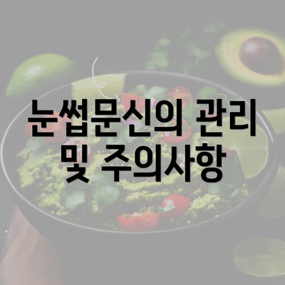 눈썹문신의 관리 및 주의사항