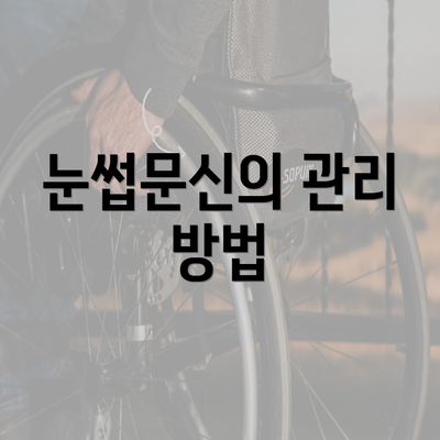 눈썹문신의 관리 방법