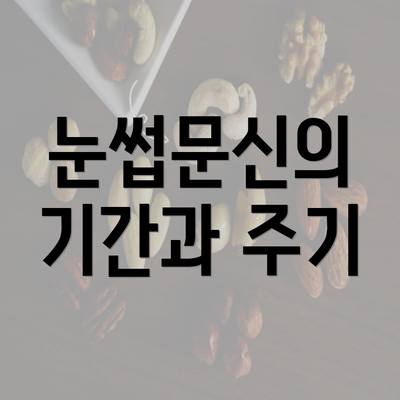 눈썹문신의 기간과 주기