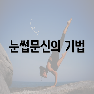 눈썹문신의 기법