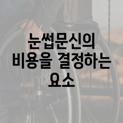 눈썹문신의 비용을 결정하는 요소