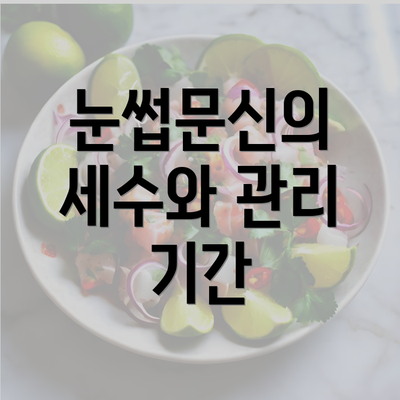 눈썹문신의 세수와 관리 기간