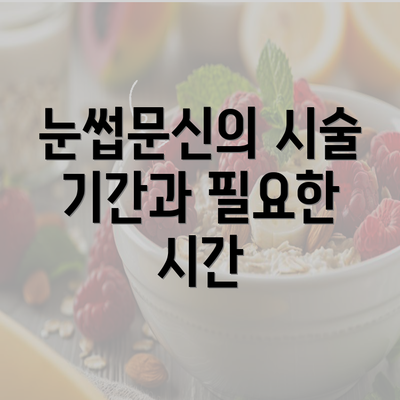 눈썹문신의 시술 기간과 필요한 시간