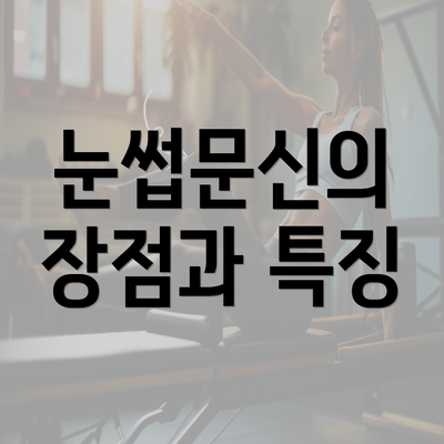 눈썹문신의 장점과 특징