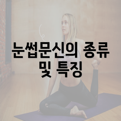 눈썹문신의 종류 및 특징