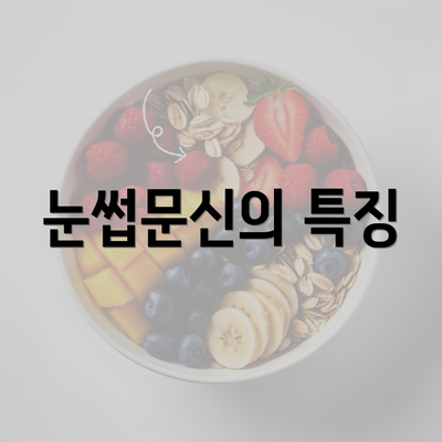 눈썹문신의 특징