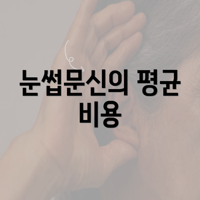 눈썹문신의 평균 비용