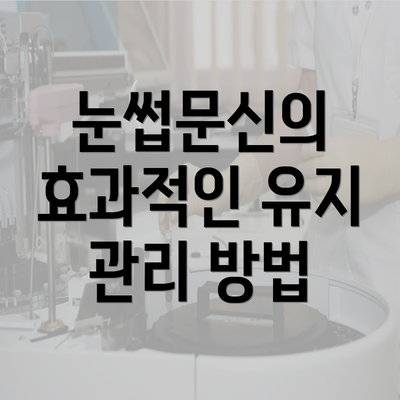 눈썹문신의 효과적인 유지 관리 방법