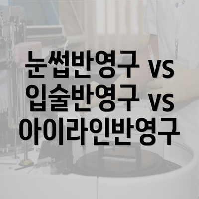 눈썹반영구 vs 입술반영구 vs 아이라인반영구