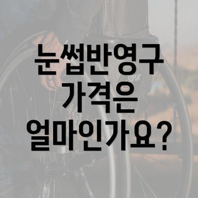 눈썹반영구 가격은 얼마인가요?