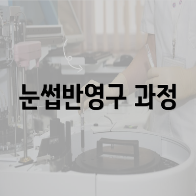 눈썹반영구 과정