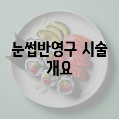 눈썹반영구 시술 개요