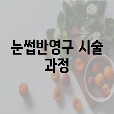 눈썹반영구 시술 과정