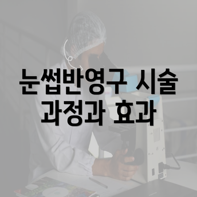 눈썹반영구 시술 과정과 효과