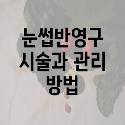 눈썹반영구 시술과 관리 방법