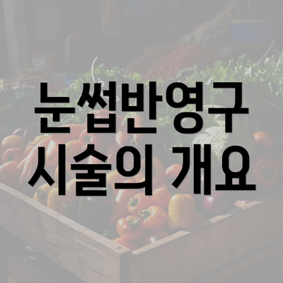 눈썹반영구 시술의 개요