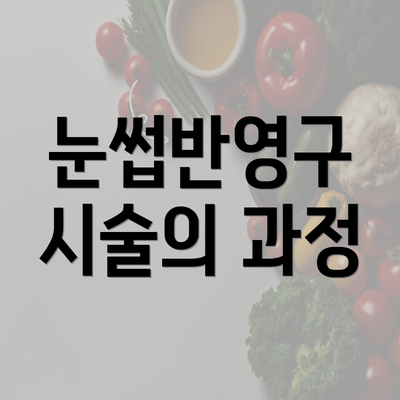 눈썹반영구 시술의 과정