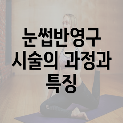 눈썹반영구 시술의 과정과 특징