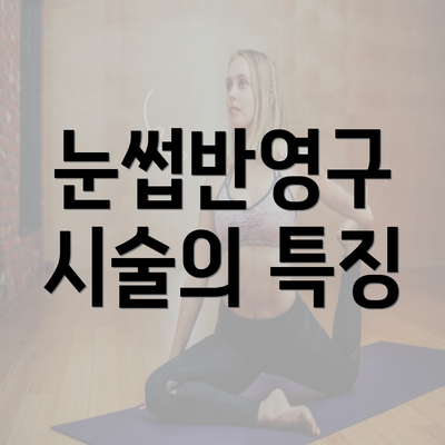 눈썹반영구 시술의 특징