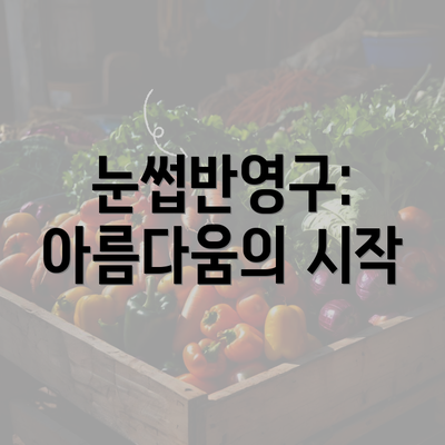 눈썹반영구: 아름다움의 시작