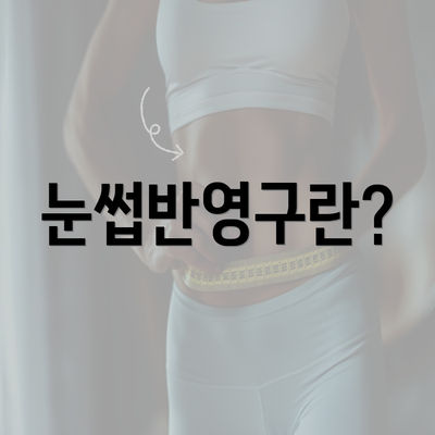 눈썹반영구란?