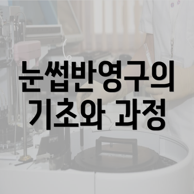 눈썹반영구의 기초와 과정