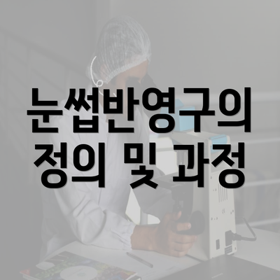 눈썹반영구의 정의 및 과정