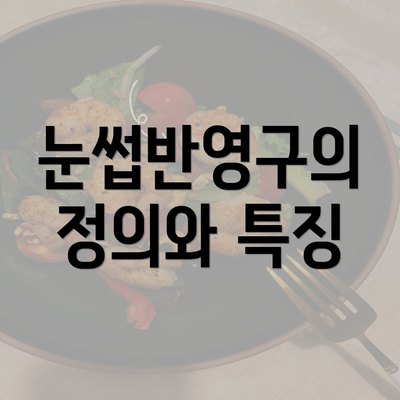 눈썹반영구의 정의와 특징