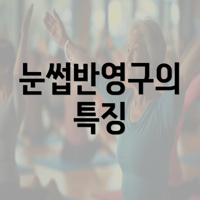 눈썹반영구의 특징