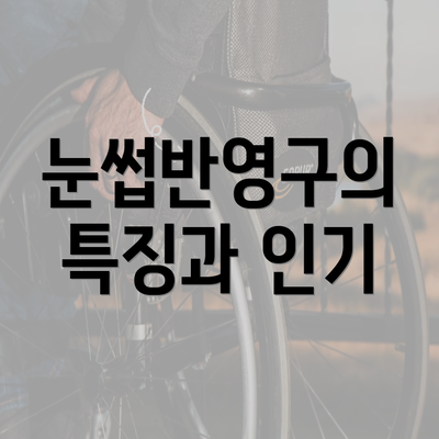 눈썹반영구의 특징과 인기