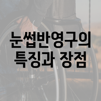 눈썹반영구의 특징과 장점