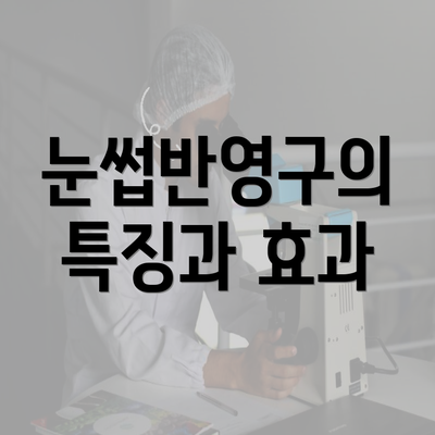 눈썹반영구의 특징과 효과