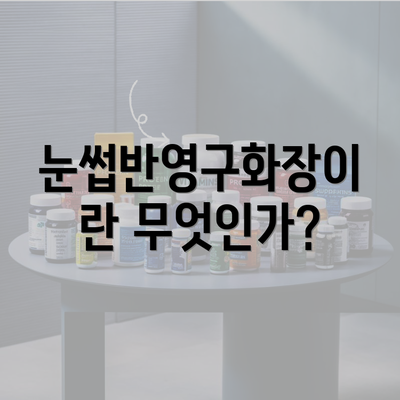 눈썹반영구화장이란 무엇인가?