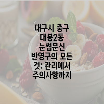 대구시 중구 대봉2동 눈썹문신 반영구의 모든 것: 관리에서 주의사항까지