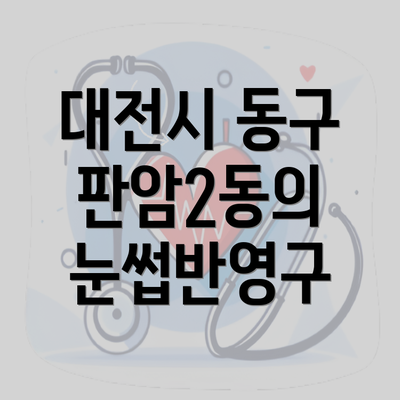 대전시 동구 판암2동의 눈썹반영구