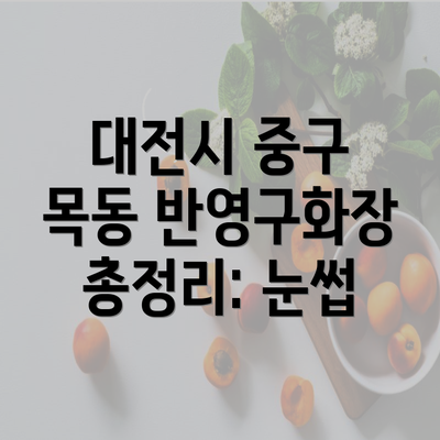 대전시 중구 목동 반영구화장 총정리: 눈썹