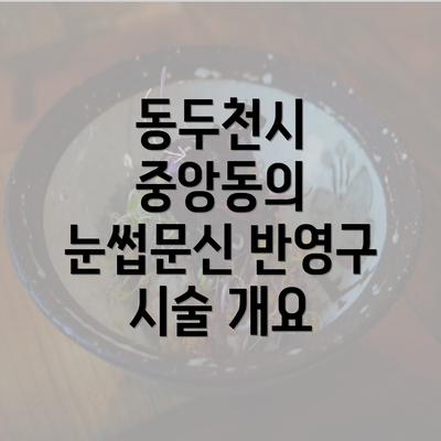 동두천시 중앙동의 눈썹문신 반영구 시술 개요