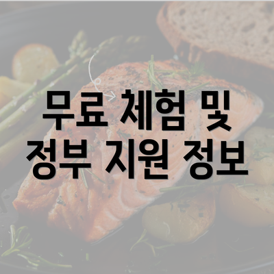 무료 체험 및 정부 지원 정보