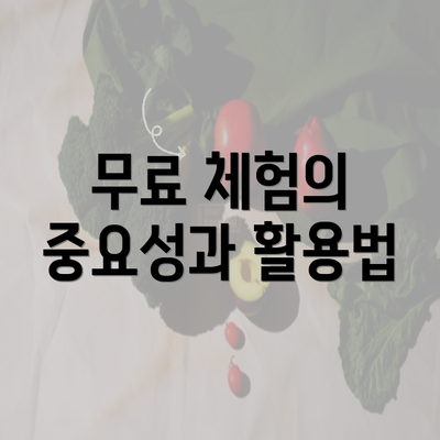 무료 체험의 중요성과 활용법