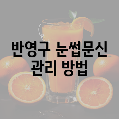 반영구 눈썹문신 관리 방법