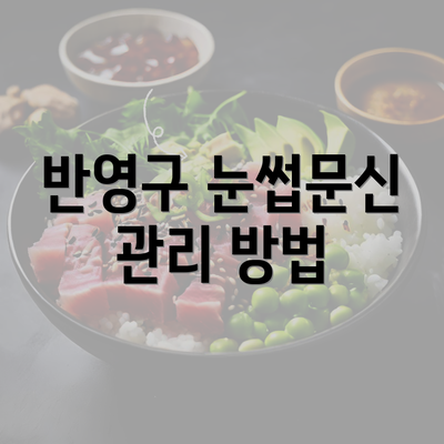 반영구 눈썹문신 관리 방법